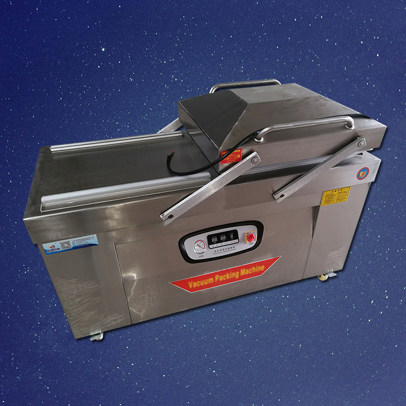 真空包装机 单室双室500型600型