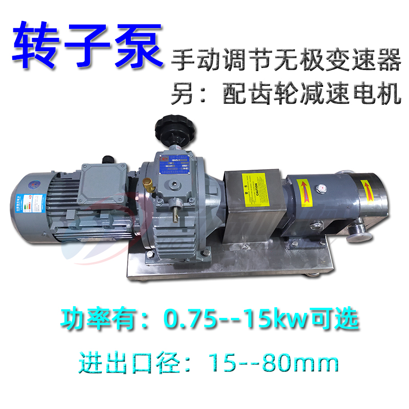 转子泵 泵头 凸轮齿轮泵